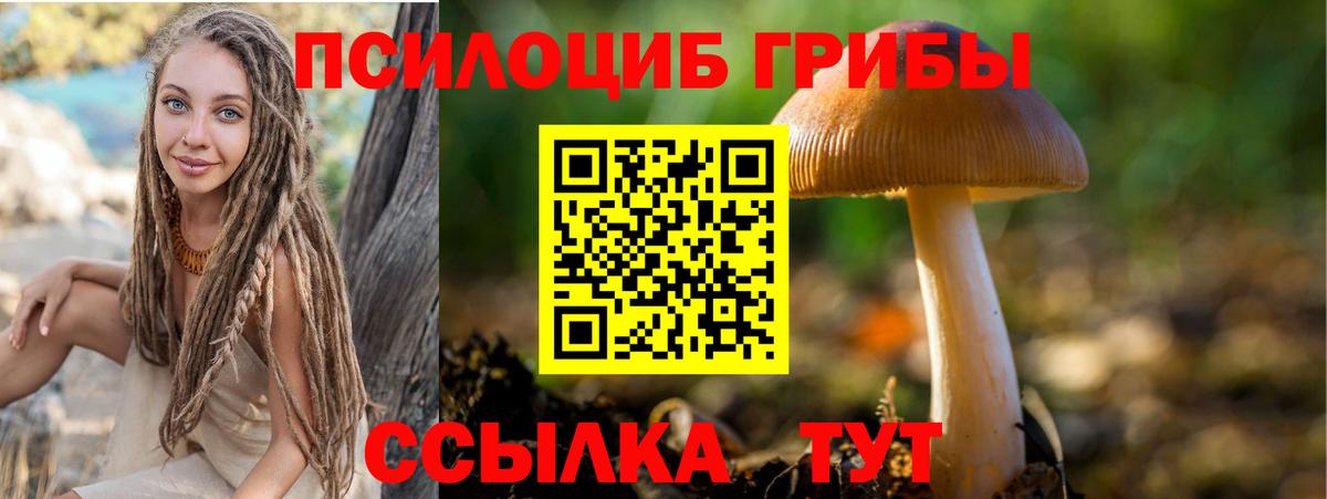 Псилоцибиновые грибы ЛСД  Вход с VPN  Бийск 